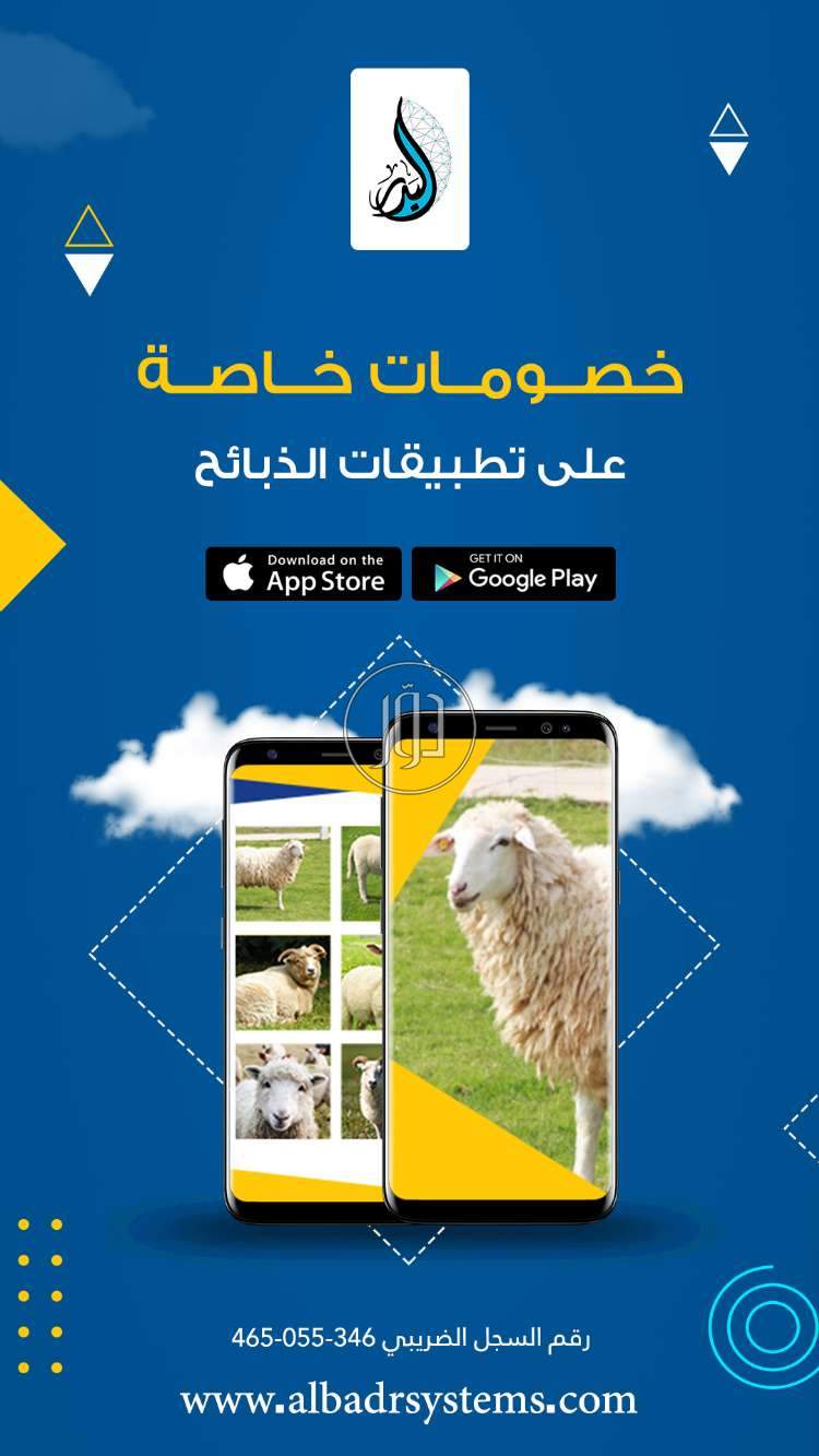 صور برمجيات وسوفت وير للبيع في السعودية - دوّر.كوم