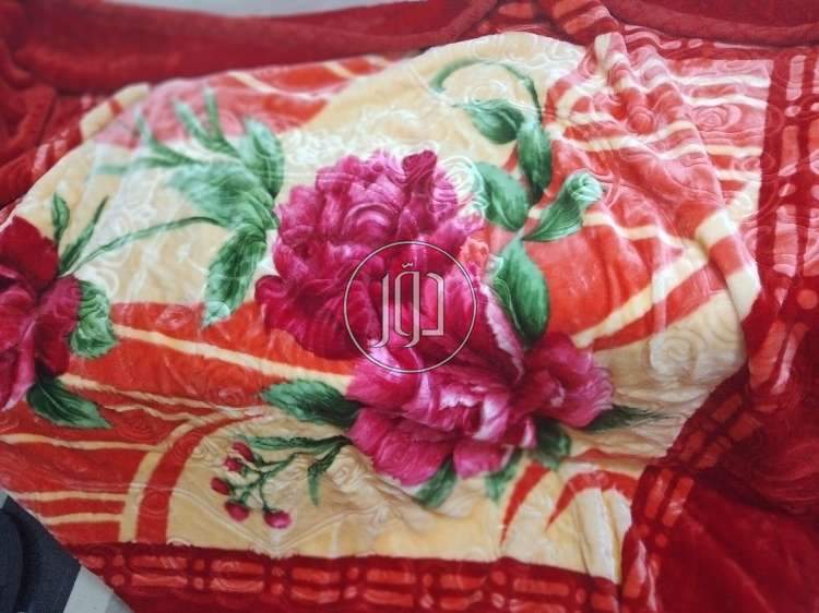 بطاطين في مصر - دوّر.كوم