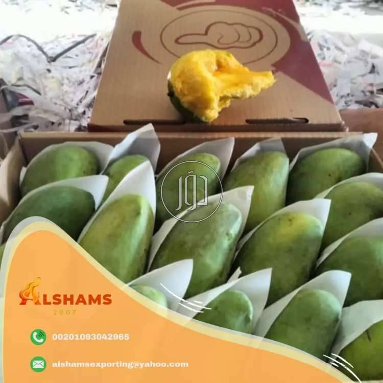 صور تجهيز محلات للبيع في الامارات - دوّر.كوم