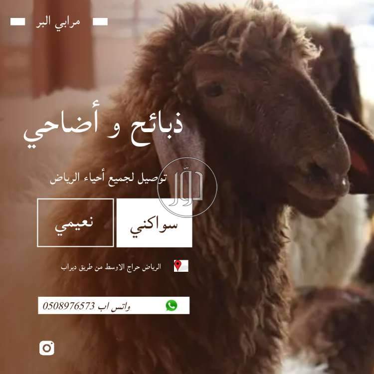 صور حيوانات اليفة للبيع في الرياض - دوّر.كوم