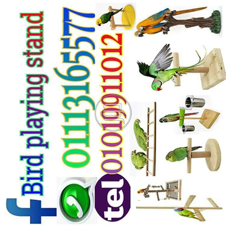 صور حيوانات اليفة للبيع في القاهرة - دوّر.كوم