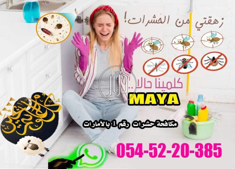 صور خدمات اخرى في الامارات - دوّر.كوم