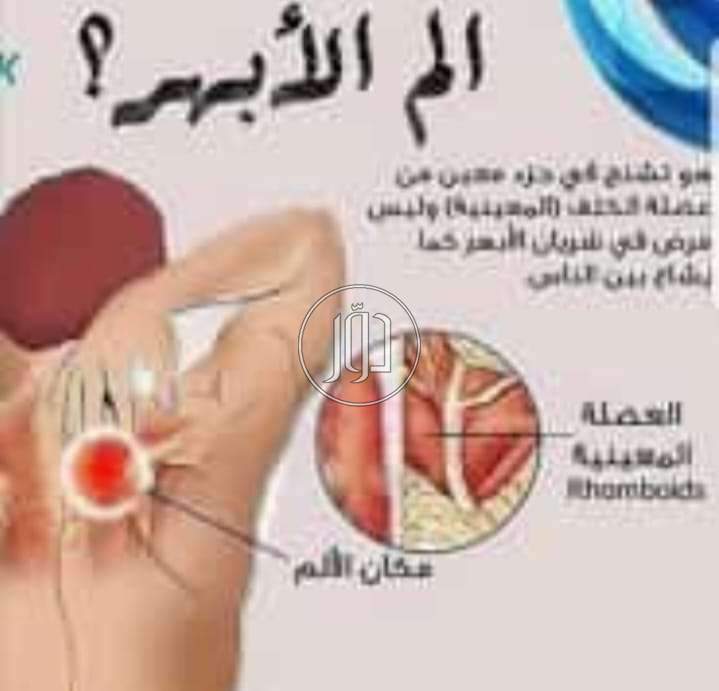 صور خدمات اخرى في السعودية - دوّر.كوم