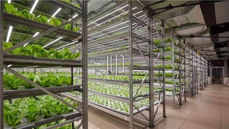 صور خدمات اخرى في مكة المكرمة - دوّر.كوم