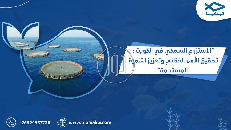 صور خدمات اخرى في السعودية - دوّر.كوم