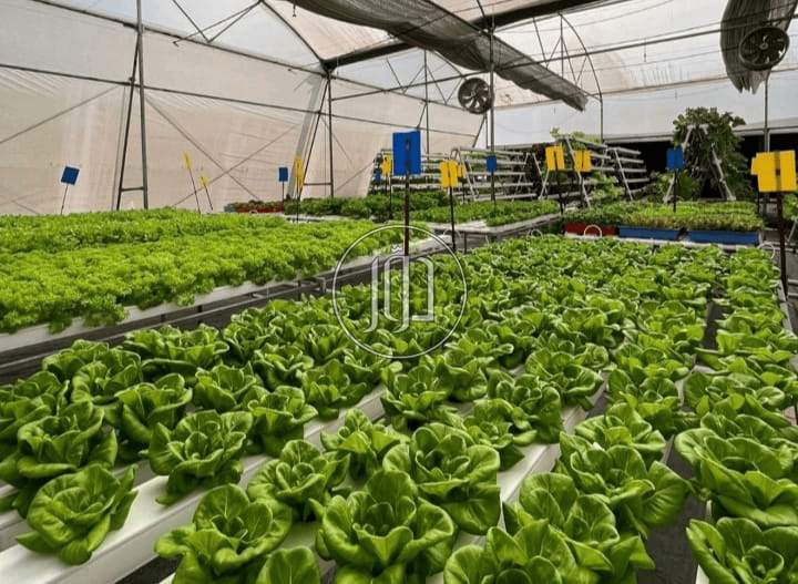 صور خدمات اخرى في الحدود الشمالية - دوّر.كوم