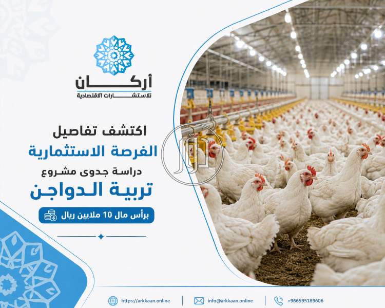 اكتشف تفاصيل الفرصة الاستثمارية دراسة جدوى مشروع تربية الدواجن