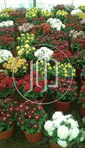 خدمات اخرى في السعودية - دوّر.كوم