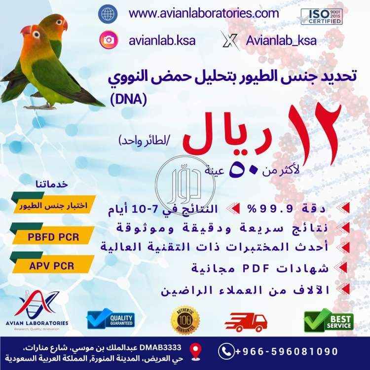 صور خدمات اخرى في المدينة المنورة - دوّر.كوم