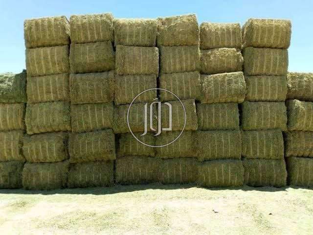 صور خدمات اخرى في مصر - دوّر.كوم