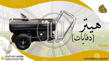 صور خدمات اخرى في القاهرة - دوّر.كوم