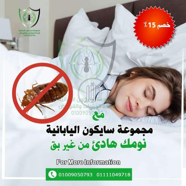 صور خدمات منزلية في مصر - دوّر.كوم