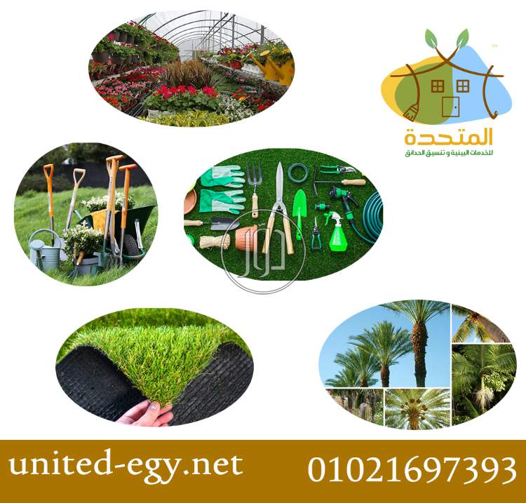 صور خدمات اخرى في مصر - دوّر.كوم