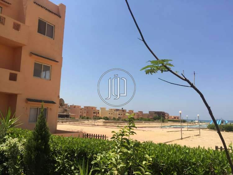 صور خدمات اخرى في الجيزة - دوّر.كوم