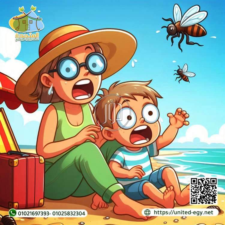 صور خدمات اخرى في مصر - دوّر.كوم