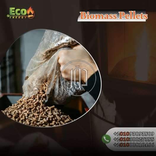خدمات اخرى في مصر - دوّر.كوم