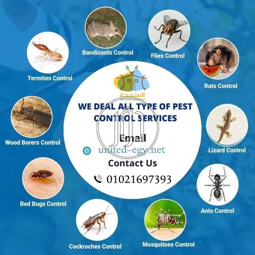 صور خدمات اخرى في مصر - دوّر.كوم