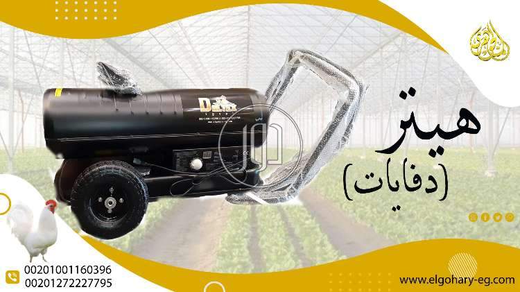 خدمات اخرى في مصر