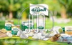 صور خدمات اخرى في مصر - دوّر.كوم