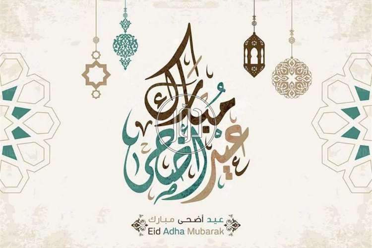 صور خدمات اخرى في القليوبية - دوّر.كوم