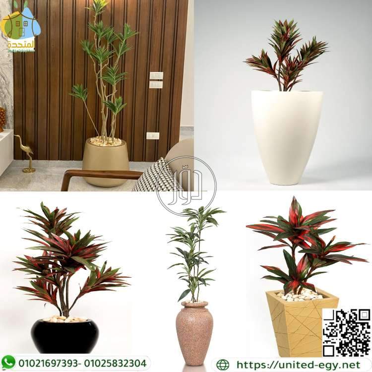 صور خدمات اخرى في مصر - دوّر.كوم