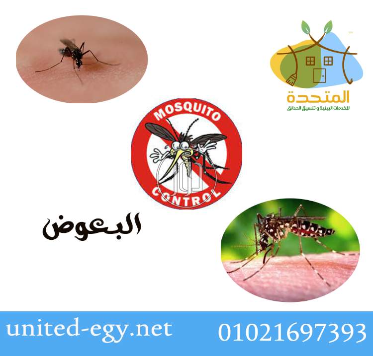 صور خدمات اخرى في القاهرة - دوّر.كوم