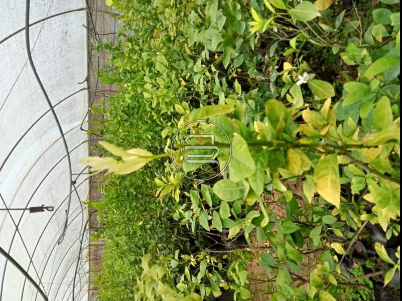 صور خدمات اخرى في الإسكندرية - دوّر.كوم