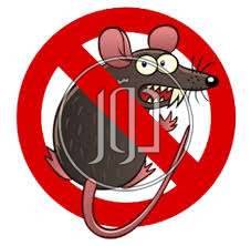 صور خدمات اخرى في الإسكندرية - دوّر.كوم