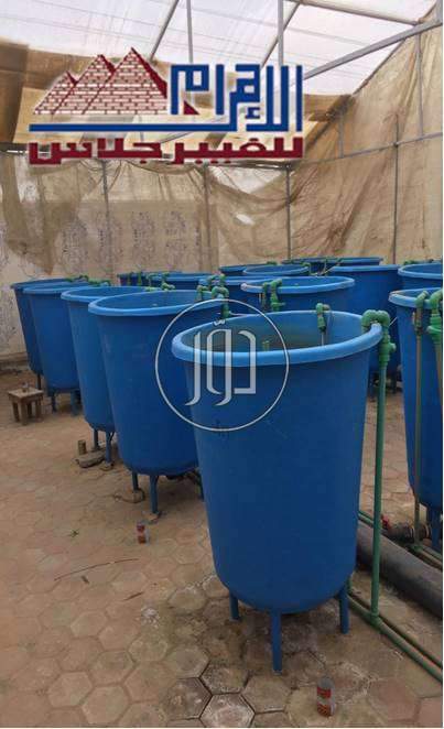 صور خدمات اخرى في القليوبية - دوّر.كوم