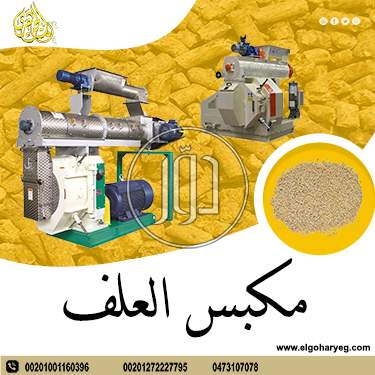 صور خدمات اخرى في القاهرة - دوّر.كوم