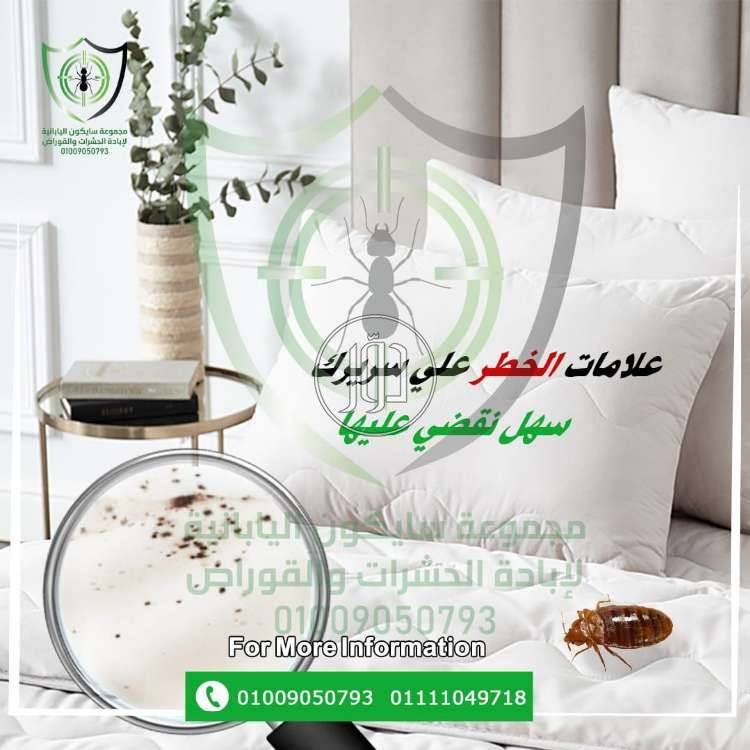 صور خدمات اخرى في القاهرة - دوّر.كوم