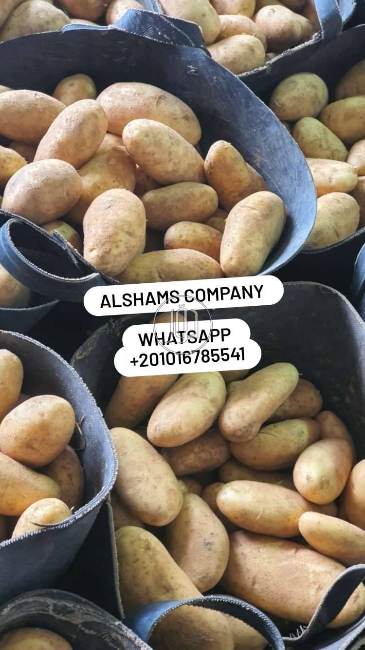 صور خدمات استيراد وتصدير في الامارات - دوّر.كوم