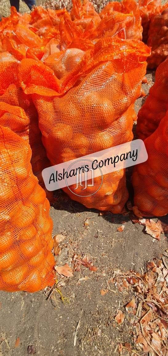 صور خدمات استيراد وتصدير في الامارات - دوّر.كوم