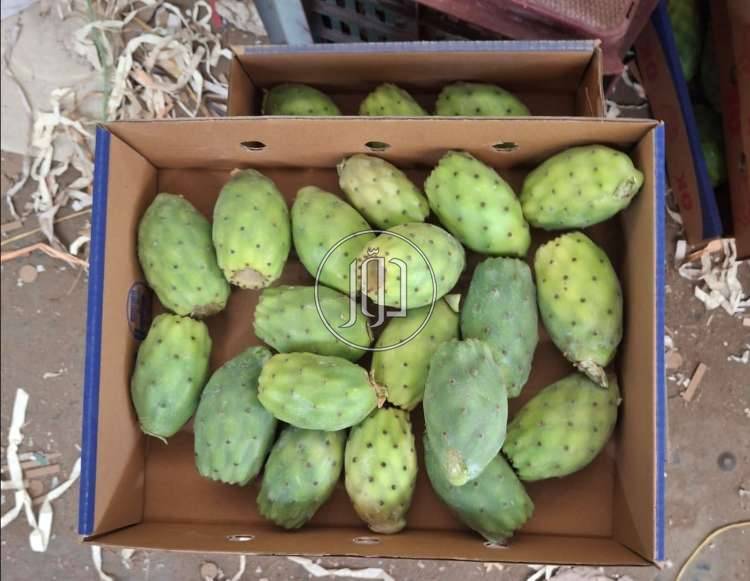 صور خدمات استيراد وتصدير في الامارات - دوّر.كوم