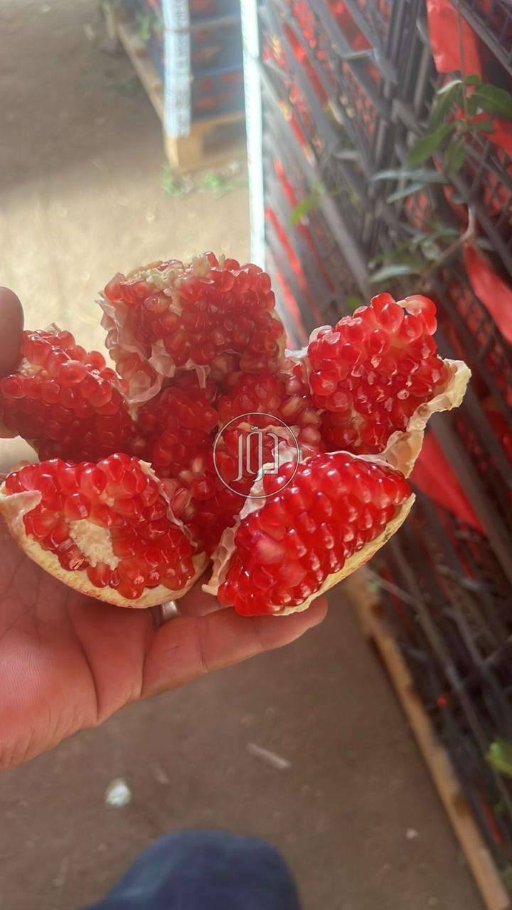 صور خدمات استيراد وتصدير في الامارات - دوّر.كوم