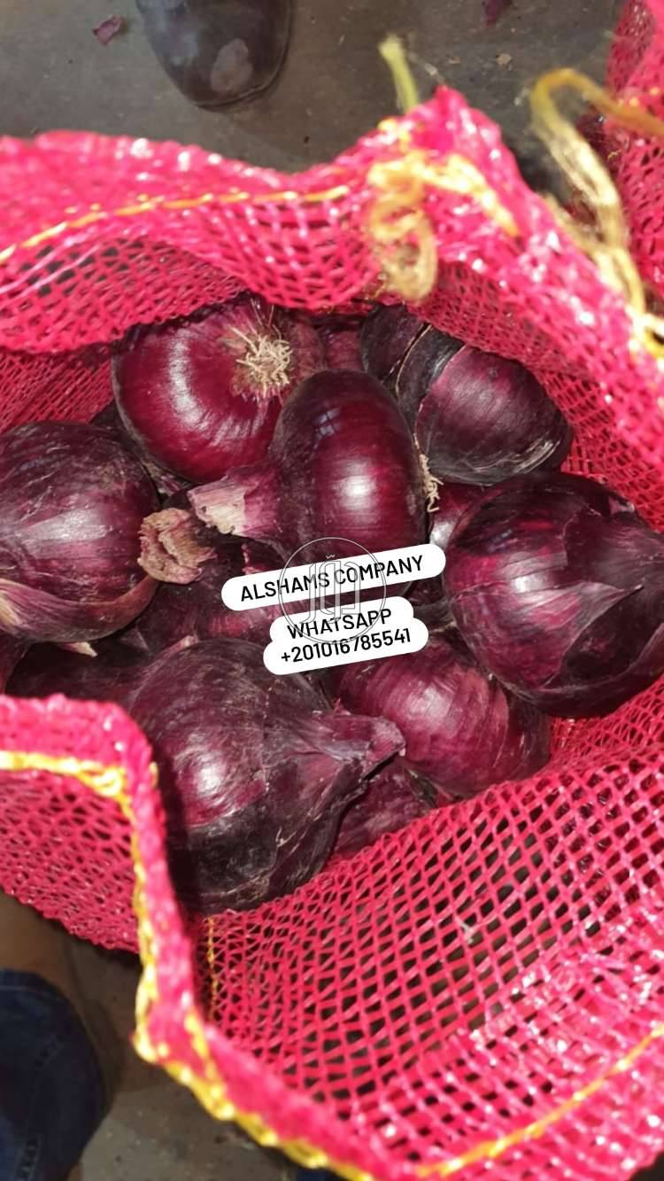 صور خدمات استيراد وتصدير في الامارات - دوّر.كوم