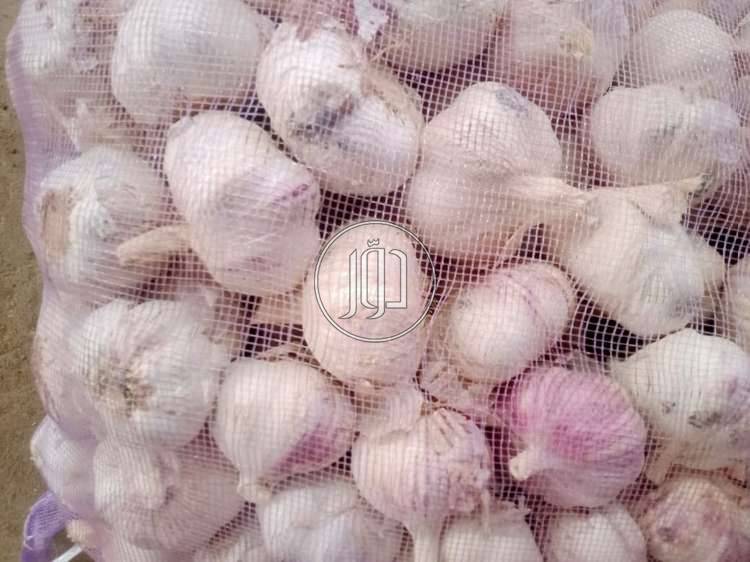 صور خدمات استيراد وتصدير في الامارات - دوّر.كوم