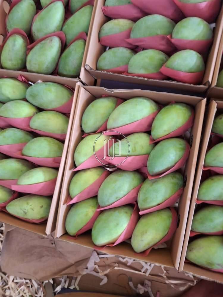 صور خدمات استيراد وتصدير في الامارات - دوّر.كوم