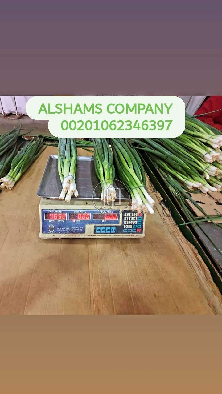 صور خدمات استيراد وتصدير في الامارات - دوّر.كوم