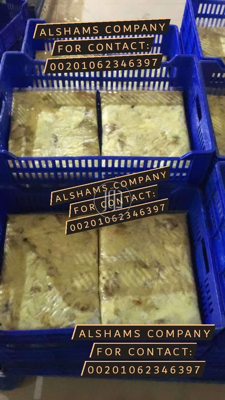 صور خدمات استيراد وتصدير في أبو ظبي - دوّر.كوم