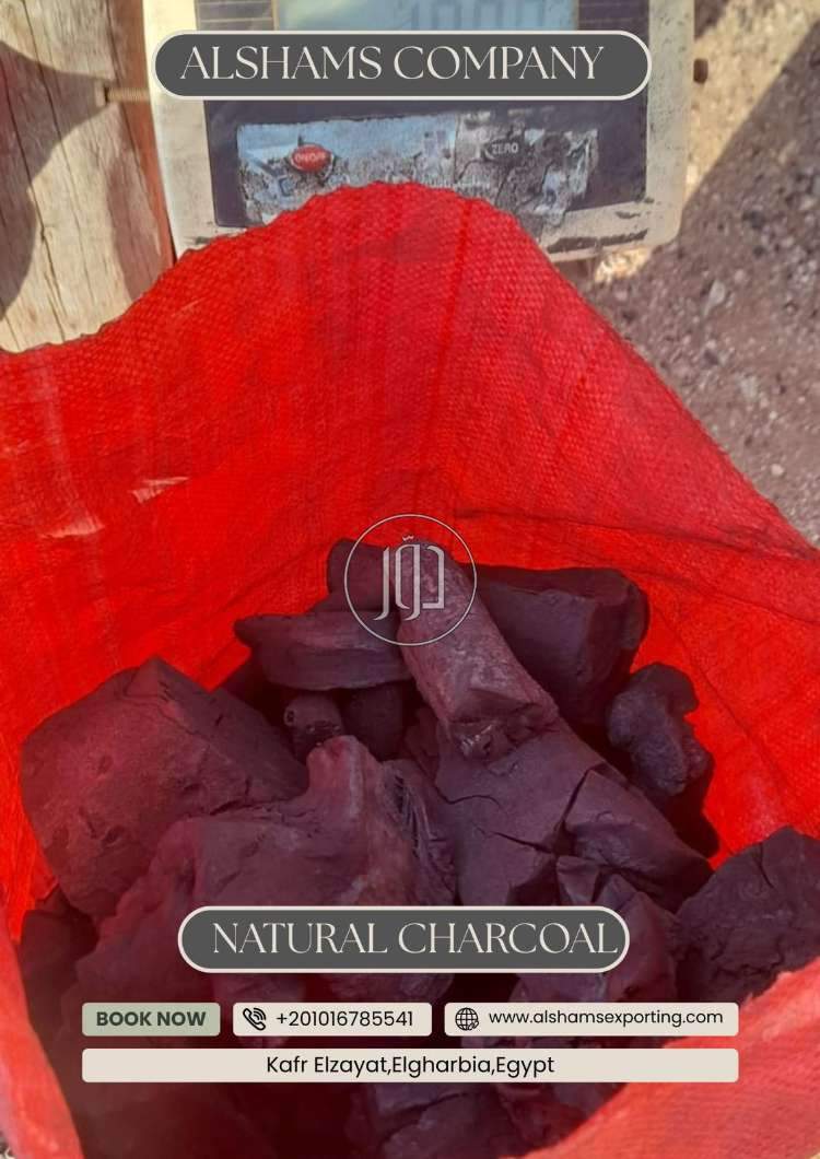 استيراد وتصدير في الامارات