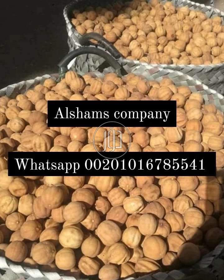 صور خدمات استيراد وتصدير في الامارات - دوّر.كوم