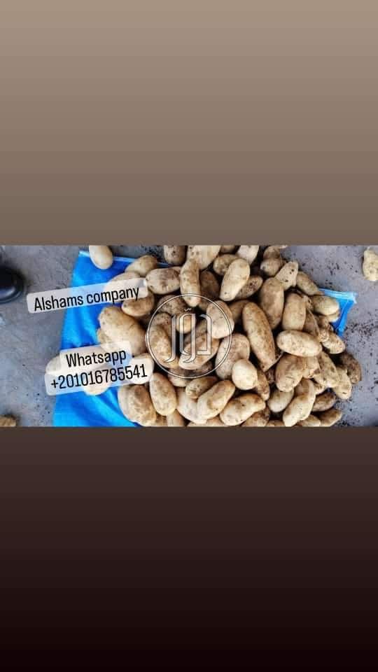 صور خدمات استيراد وتصدير في الامارات - دوّر.كوم