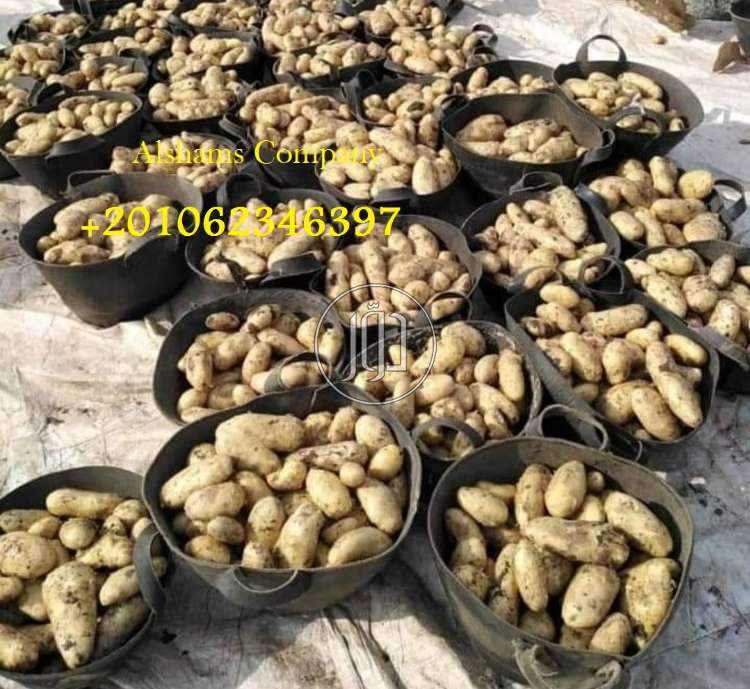 صور خدمات استيراد وتصدير في الامارات - دوّر.كوم