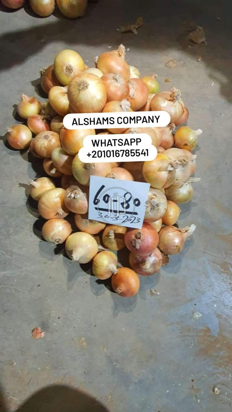 صور خدمات استيراد وتصدير في الامارات - دوّر.كوم