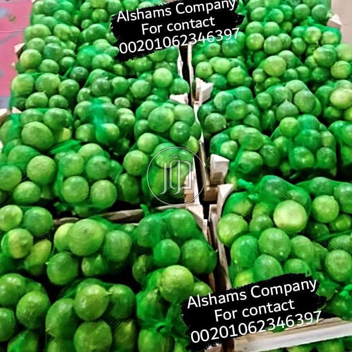 صور خدمات استيراد وتصدير في الفجيرة - دوّر.كوم