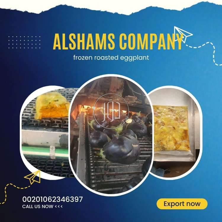 صور خدمات استيراد وتصدير في الامارات - دوّر.كوم