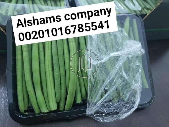 صور خدمات استيراد وتصدير في الامارات - دوّر.كوم