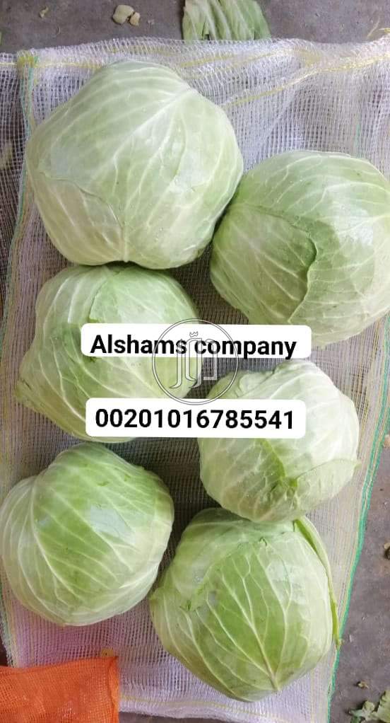 صور خدمات استيراد وتصدير في الامارات - دوّر.كوم