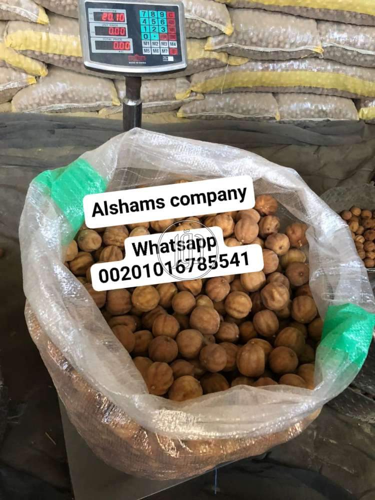 صور خدمات استيراد وتصدير في الامارات - دوّر.كوم